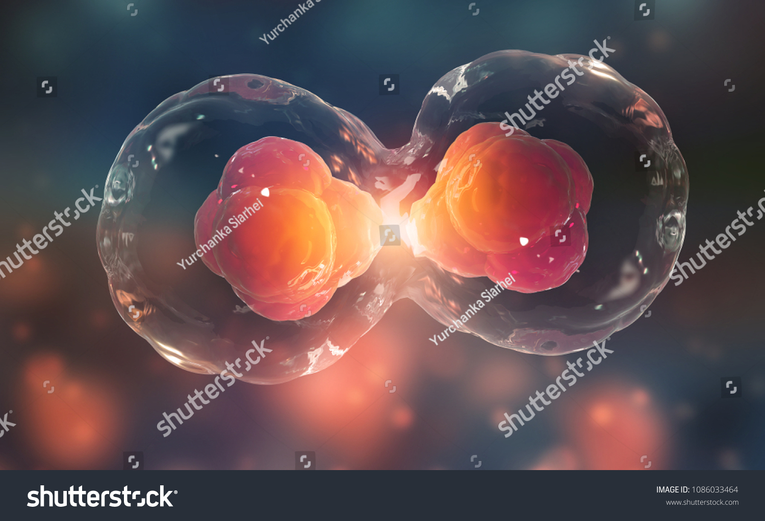Cells under a microscope. Cell division. Cellular Therapy. 3d illustration on a dark background
