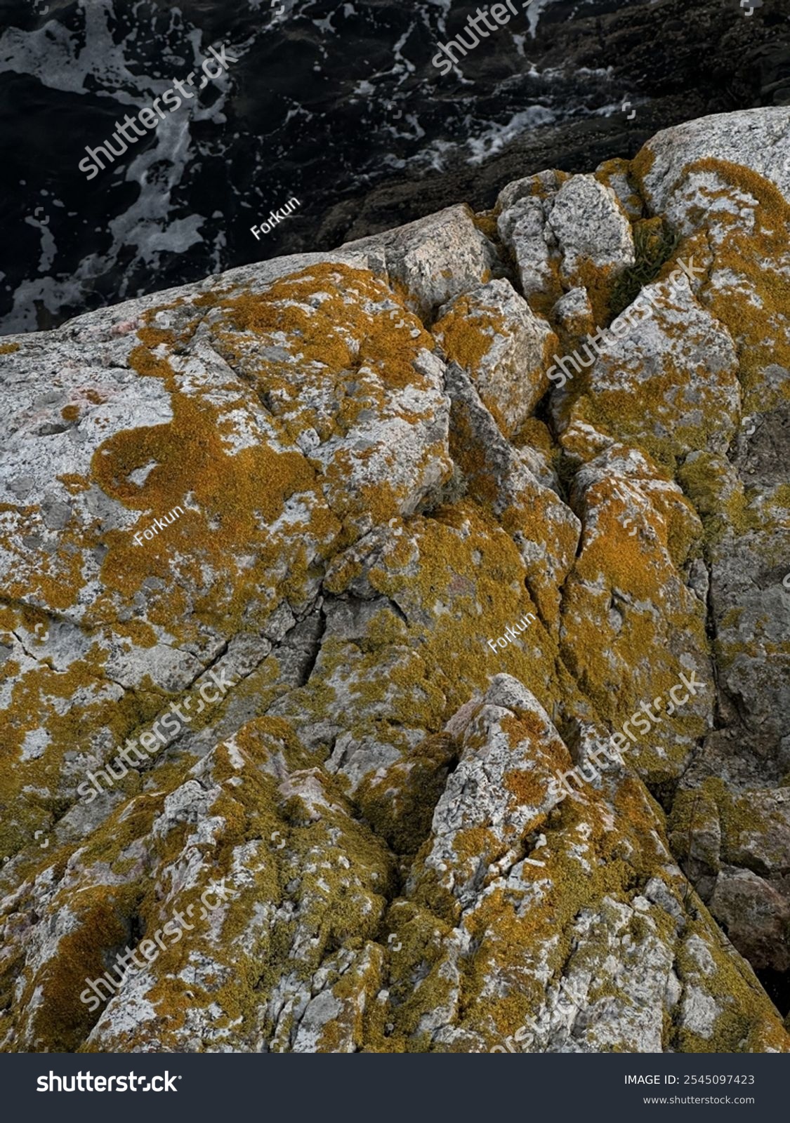crashingwaves