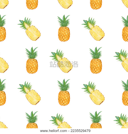 无缝手绘凤梨