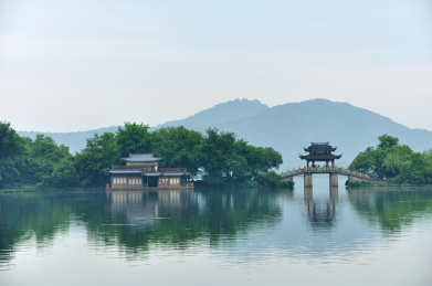 杭州曲院风荷风景