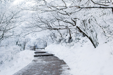黄山冬季雪景