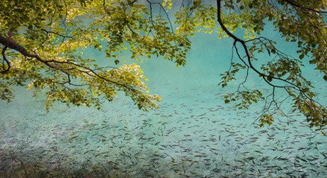 九寨-童话世界-水