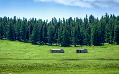 新疆哈密巴里坤草原