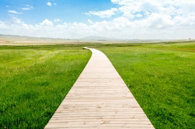 新疆哈密巴里坤草原
