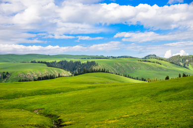 新疆喀拉峻大草原