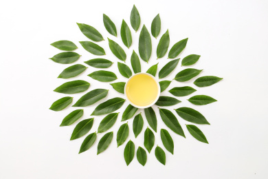 一杯茶和绿叶背景