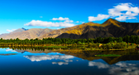 微观世界-雅鲁藏布江中的小湿地