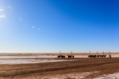 海拉尔草原部落