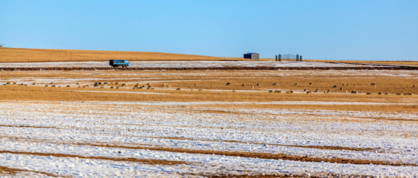 海拉尔草原部落