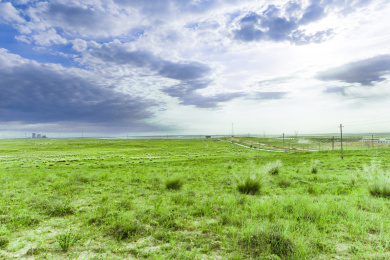 草原戈壁滩沙漠
