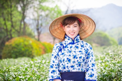 美丽的亚洲女孩采摘茶叶茶园