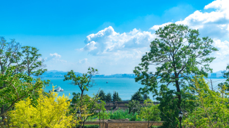 刘公岛国家森林公园白云云朵清新无霾绿树大海横幅