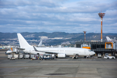 Boeing 737 Aircraft at OSAKA airport 大阪国际空港