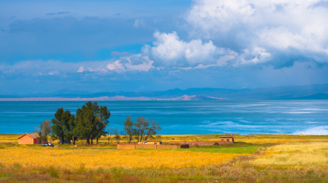 青海湖畔