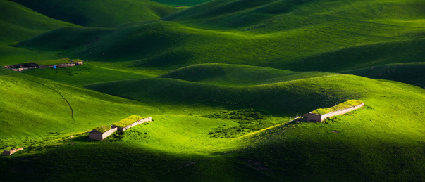 中国新疆琼库什台人体曲线