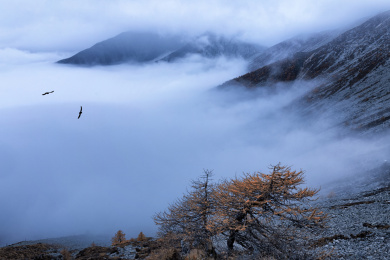 云顶云海云之巅