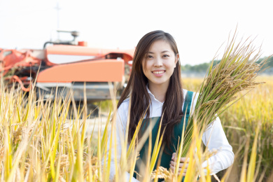 美丽的年轻中国女子农艺师在金色谷物领域