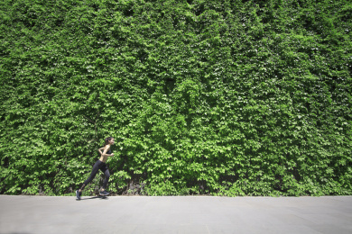 在户外跑步的年轻女士