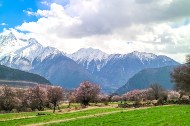 西藏林芝雅鲁藏布江大峡谷风光