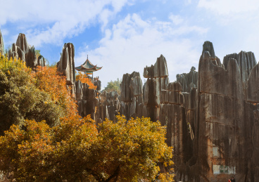 石林地质公园特有的地形地貌