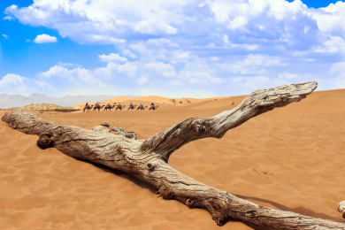 宁夏沙坡头自然景观