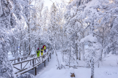 黑龙江省亚雪驿栈大秃顶子山雪景