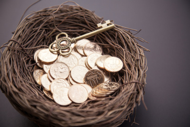 鸟巢里的硬币 商务金融投资 