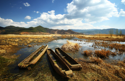 中国四川泸沽湖草海湿地秋季风景
