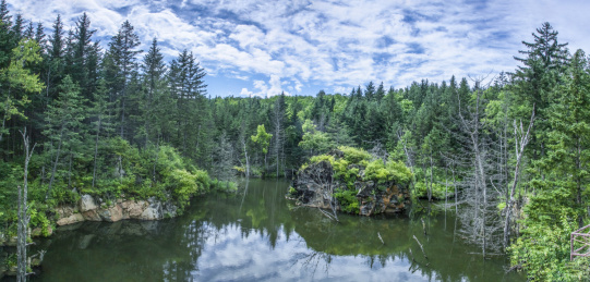 黑龙江省嘉荫县茅兰沟国家地质森林景区