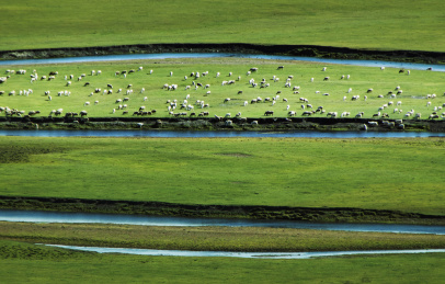 草原小河曲曲折折