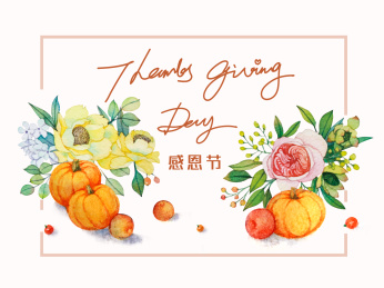 感恩节 火鸡 南瓜 插画