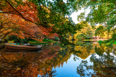杭州太子湾色彩斑斓的秋天