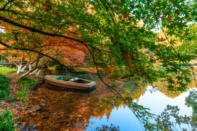 杭州太子湾色彩斑斓的秋天