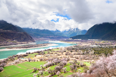 西藏林芝索松村风光