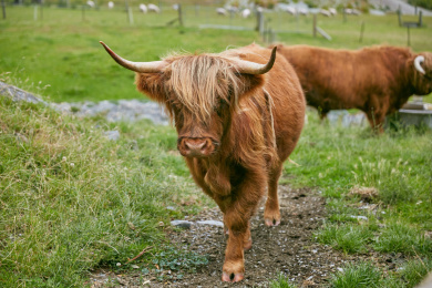 新西兰自然风景