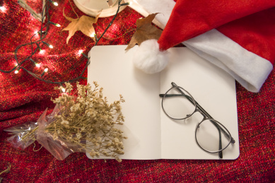 书，眼睛，干花和圣诞帽