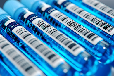 血液检测，高科技生物学研究检测的概念。