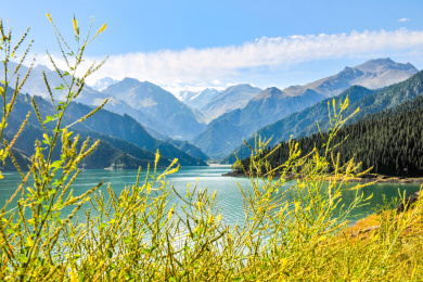 中国新疆昌吉州阜康市天山天池风景区夏季风光