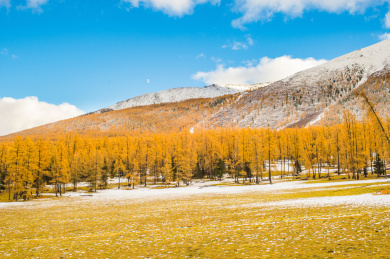 中国新疆阿勒泰地区布尔津县喀纳斯景区秋季初雪
