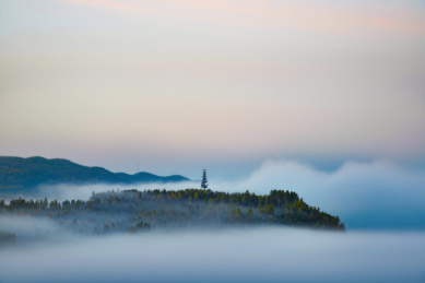 额尔古纳河之晨