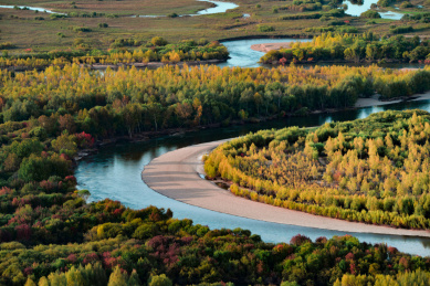 呼伦贝尔根河湿地