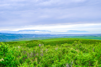 中国新疆塔城地区塔斯特风景区春季风光