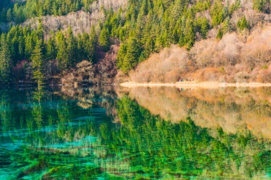 暖冬下的九寨沟