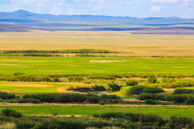 内蒙古呼伦贝尔沿途美景