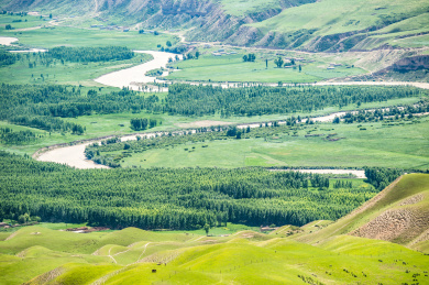 中国新疆喀拉峻草原阔克苏大峡谷夏季风光