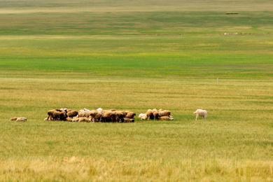 内蒙古呼伦贝尔沿途美景