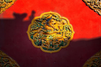 大美故宫--宫墙.墙花 