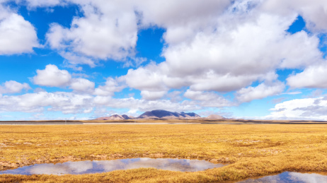 可可西里自然风光