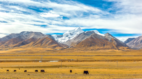 可可西里自然风光