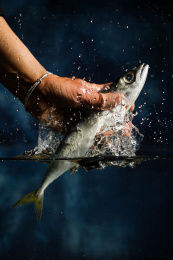 用手把青占鱼从水中捉出来